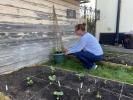 Novo projeto floral vê britânicos cultivam flores para vizinhos idosos