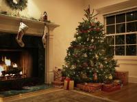 Verdadeiro vs. Árvores de Natal falsas: qual é a certa para sua casa?