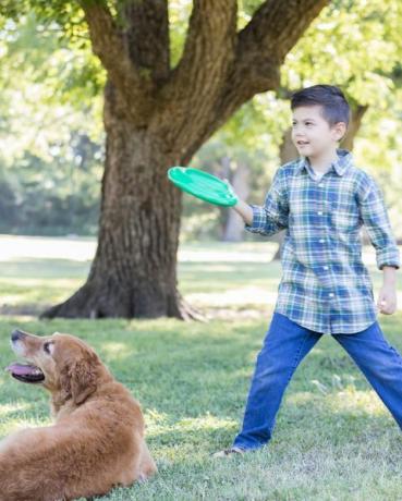 menino se prepara para lançar disco plástico para cachorro
