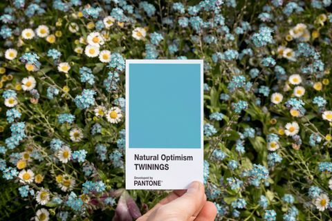 Influências de Twinings Otimismo Natural em associação com Pantone