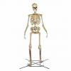 Home Depot está vendendo um esqueleto de 12 pés que será o assunto da cidade