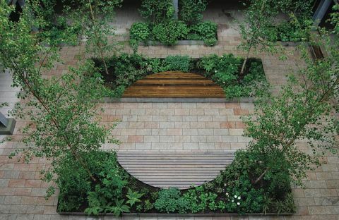 Prémios Society of Garden Designers - Anne Windsor - Vencedora do The Big Ideas, Smal Budget Award - SGD AWARDS 2017