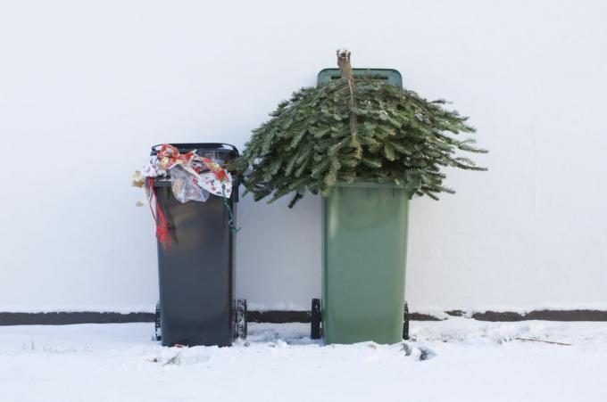 recicle sua árvore de natal