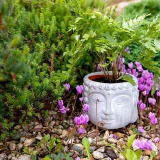 Vaso de Flores de Buda