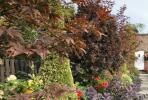5 tarefas obrigatórias em seu jardim de outono