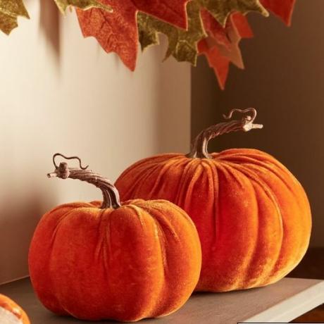 Conjunto de 2 decorações de outono de Halloween de abóbora de veludo 