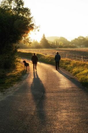 duas mulheres passeando com um cachorro ao amanhecer