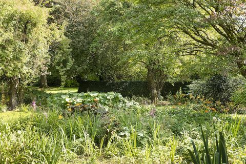 casa somerset com jardins gloriosos à venda