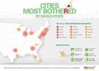 As piores cidades dos EUA para mosquitos