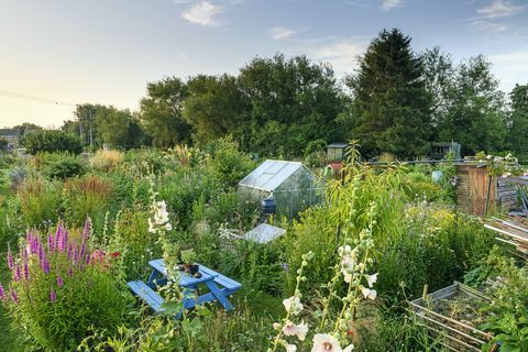 jardim em lote em oxfordshire ganha prêmio jardim do ano da revista mundial bbc gardeners em 2021