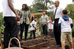 A horta da Casa Branca de Michelle Obama chegou para ficar