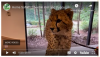 3 viagens ao zoológico virtual para entreter crianças entediadas durante o isolamento