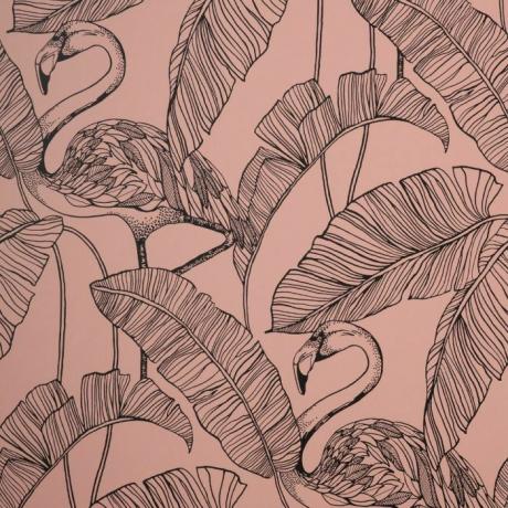 Papel de Parede Flamingo Rosa Fino