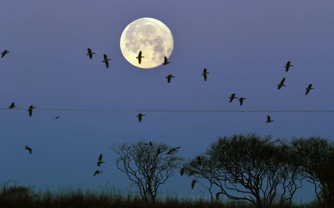 Supermoon Northumberland Reino Unido